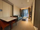 HighTech Park, 1 Bed, Park View III, Nanshan, No.SZNSPV5