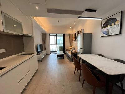 Central Nanshan, 1 Bed, UDC City Center, Nanshan, No.SZNSCC3